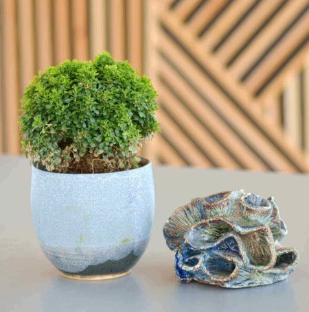 planters